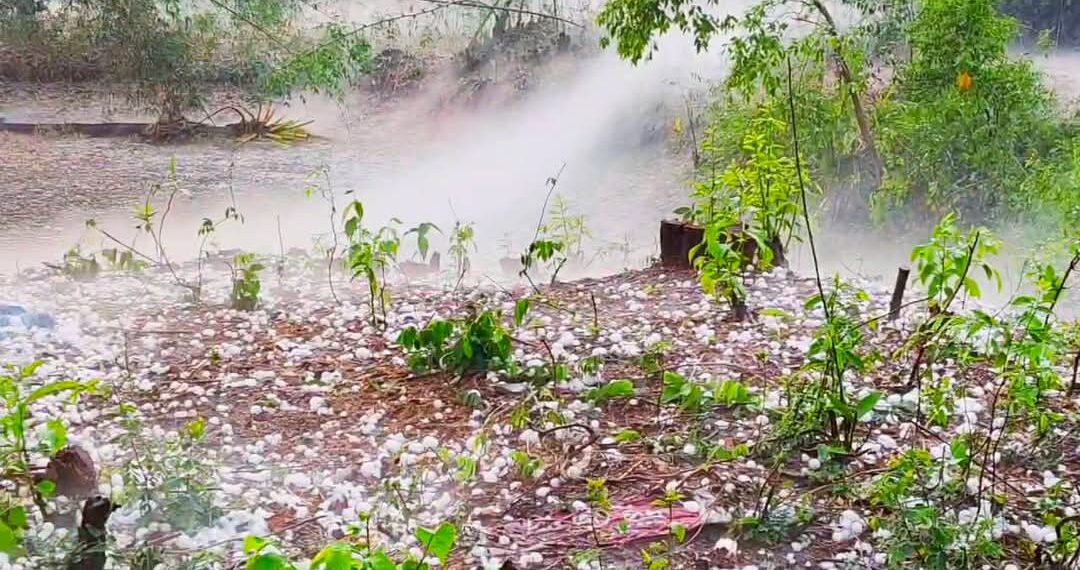 শিলাবৃষ্টির তাণ্ডব! বরফে ঢাকল মাঠ, যেন এক টুকরো কাশ্মীর।