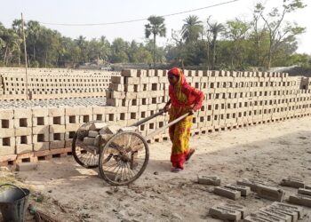 নারী দিবস কী জানে না আজমীরা রশিদারা, শুধু জানে কাজ না করলে চলবে না সংসার
