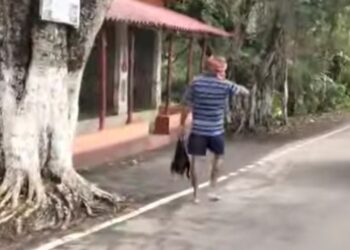 হাড়হিম খুন বাসন্তীতে, বৌদির কাটা মুণ্ড হাতে থানায় দেওর