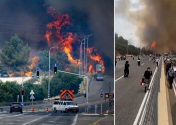 দাবানলের লেলিহান গ্রাসে জ়েরুজ়ালেম পাহাড়ের বনভূমি, জরুরি অবস্থা জারী ইজরায়েলে, বাতিল স্বাধীনতা দিবসের অনুষ্ঠান