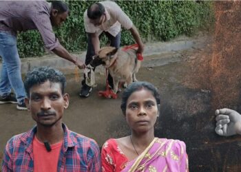 দেড় বছরের মেয়েকে খুন করে ঝোপে পুঁতেছিল বাবা-মা? উদ্ধার হাড়গোড়