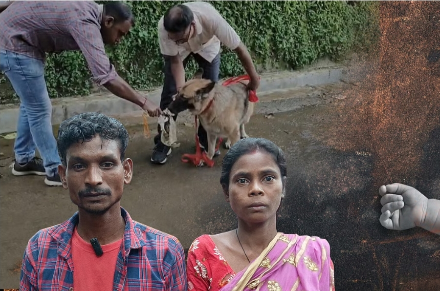 দেড় বছরের মেয়েকে খুন করে ঝোপে পুঁতেছিল বাবা-মা? উদ্ধার হাড়গোড়