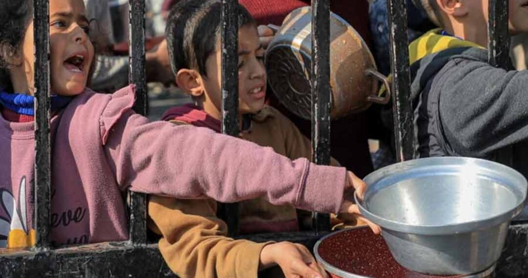 ক্ষুধার্তদের চিকিৎসা করছেন ক্ষুধার্তেরাই! তীব্র খাদ্যসঙ্কটে ভুগছে গাজ়া, অনাহার-অপুষ্টিতে ভুগছে ৯ লক্ষের বেশি শিশু